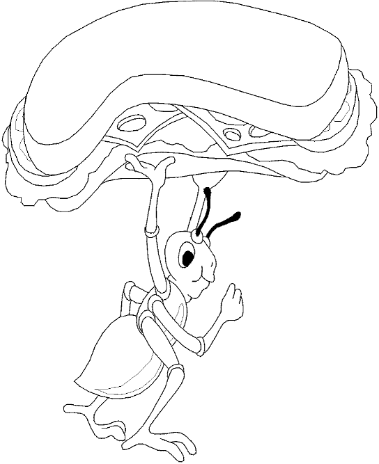 Insect coloring pages