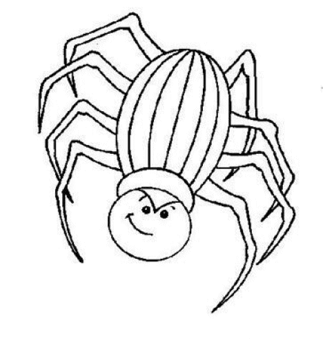 Insect coloring pages