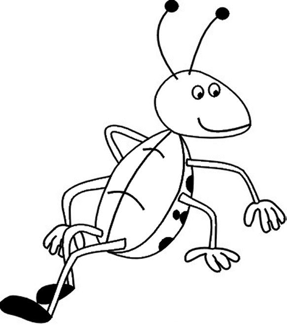 Insect coloring pages