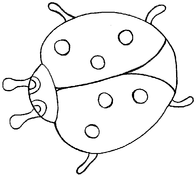 Insect coloring pages