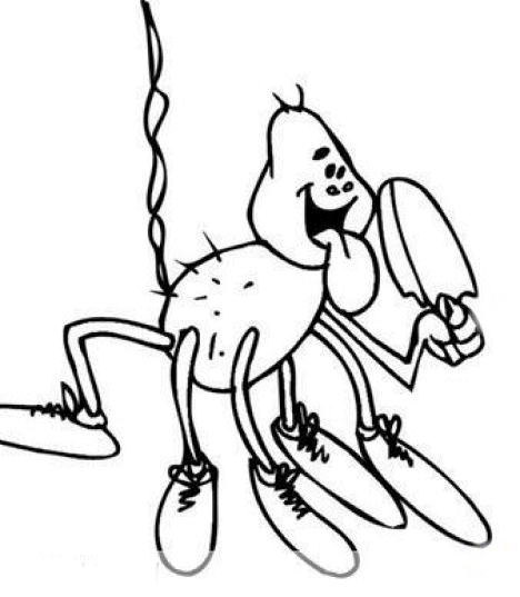 Insect coloring pages