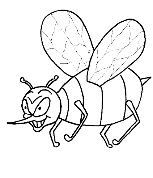 Insect coloring pages