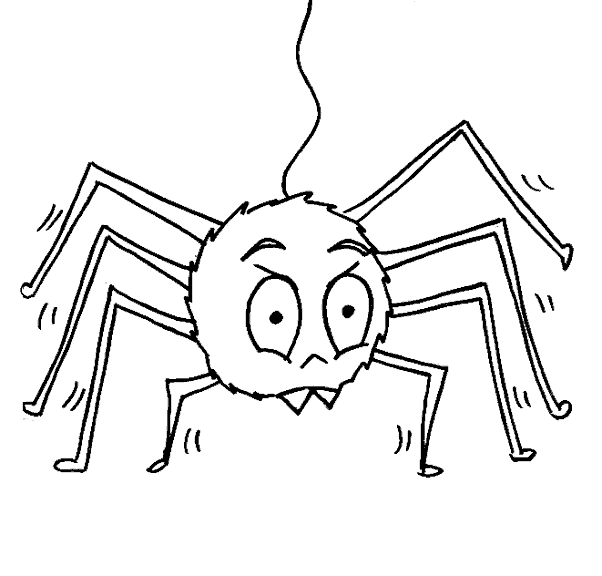 Insect coloring pages