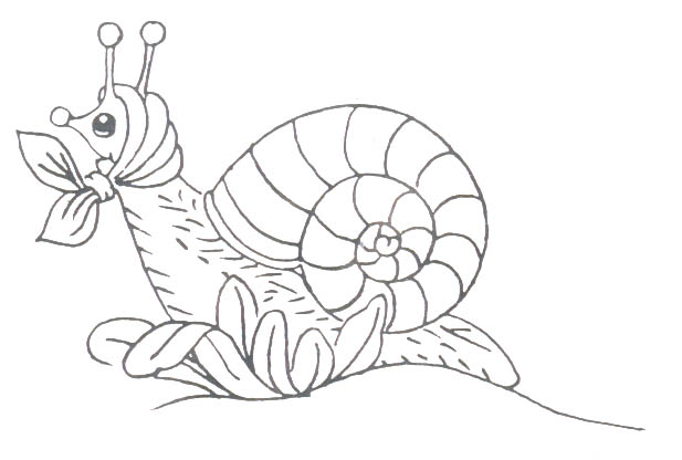 Insect coloring pages