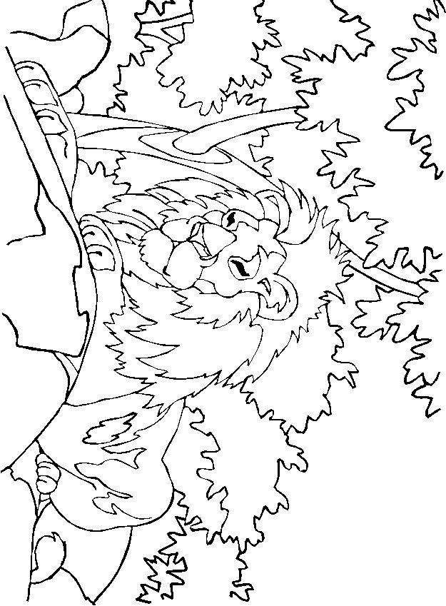 Lion coloring pages