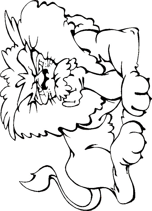 Lion coloring pages