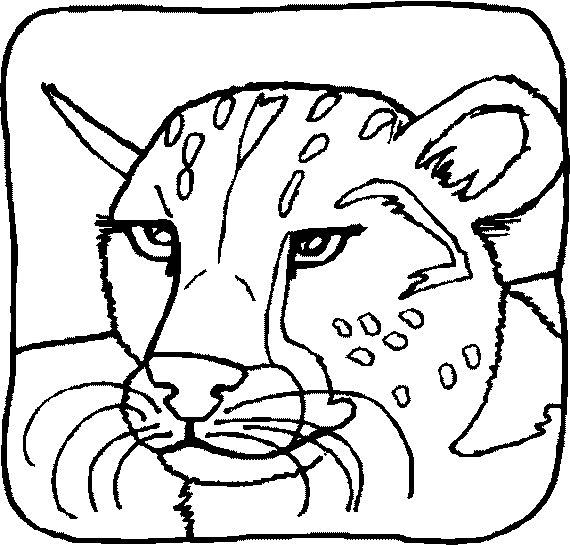 Lion coloring pages