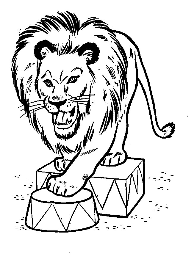 Lion coloring pages