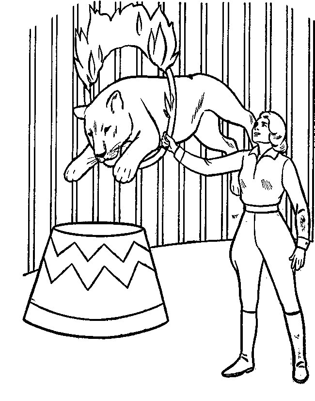 Lion coloring pages