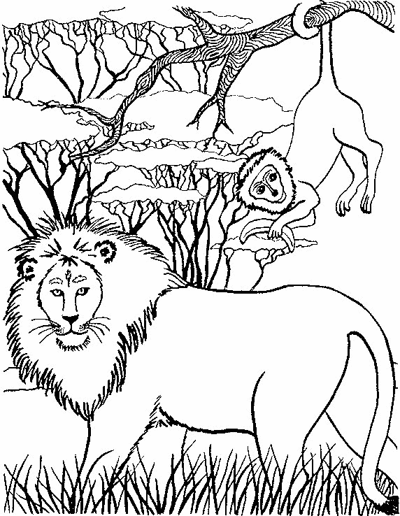 Lion