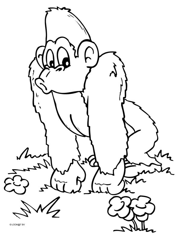 Monkey coloring pages