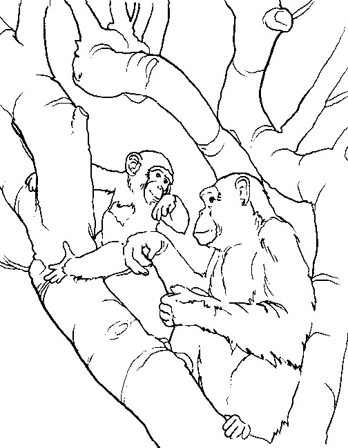 Monkey coloring pages