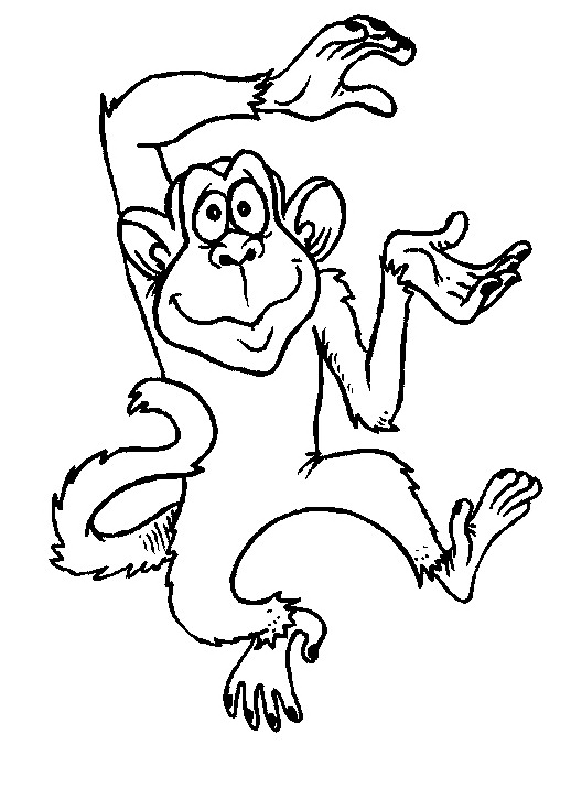 Monkey coloring pages