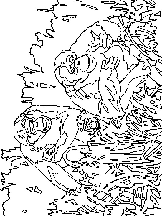 Monkey coloring pages