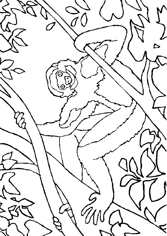 Monkey coloring pages