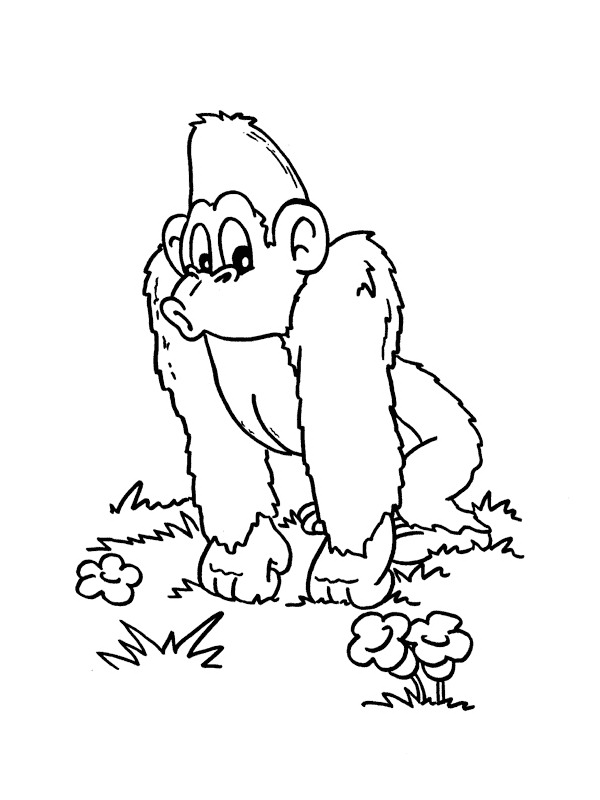 Monkey coloring pages