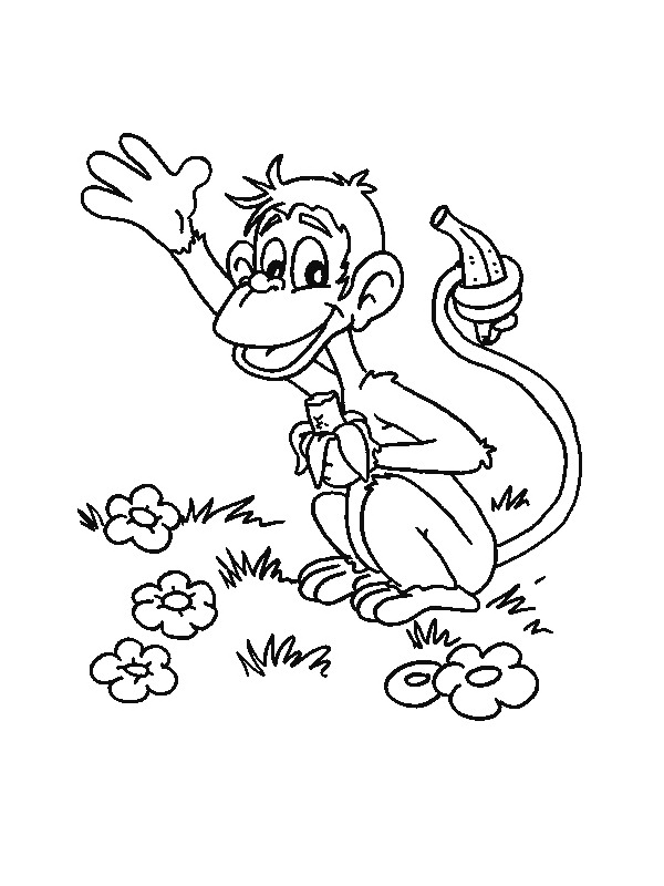 Monkey coloring pages