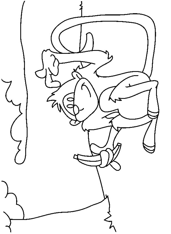 Monkey coloring pages