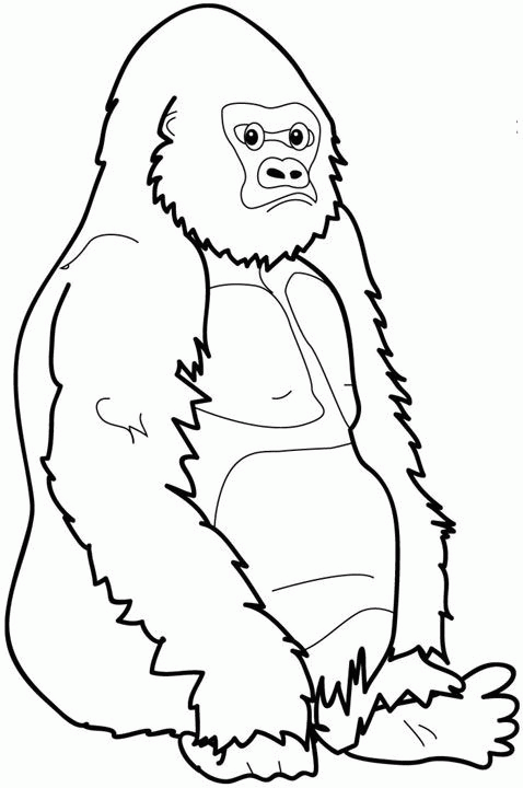 Monkey coloring pages