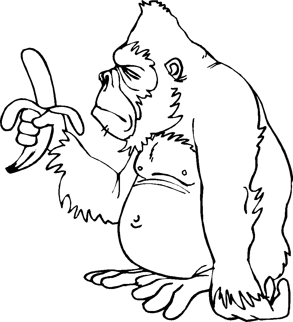 Monkey coloring pages