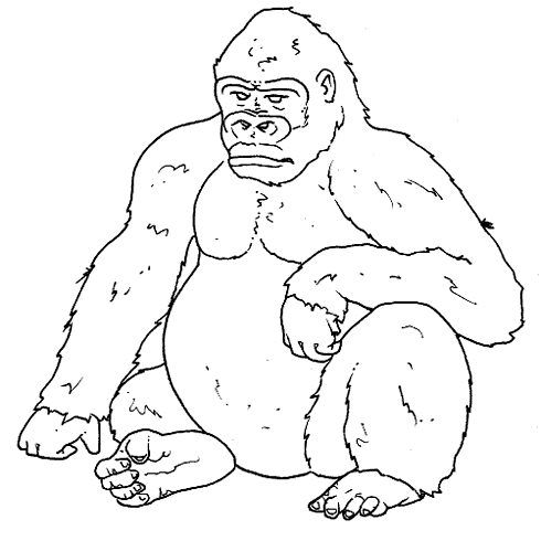 Monkey coloring pages