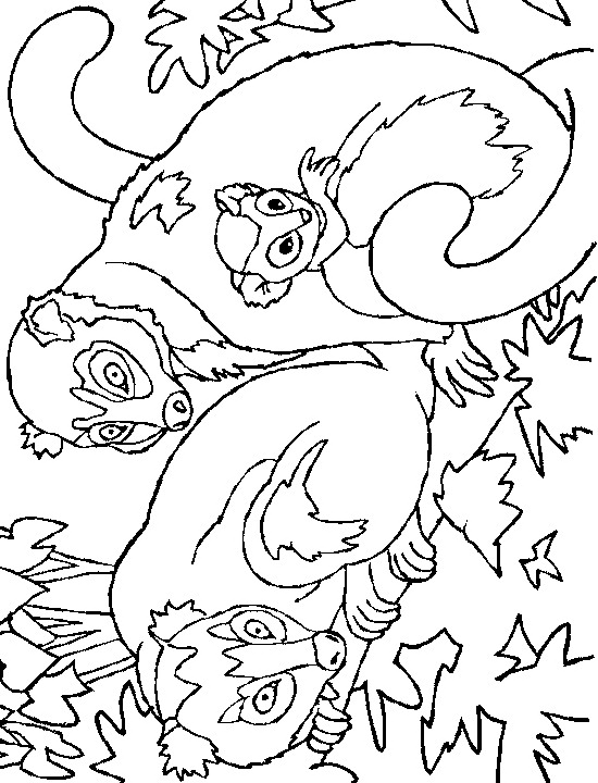 Monkey coloring pages