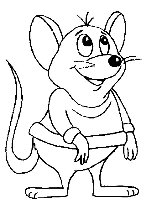 Mouse