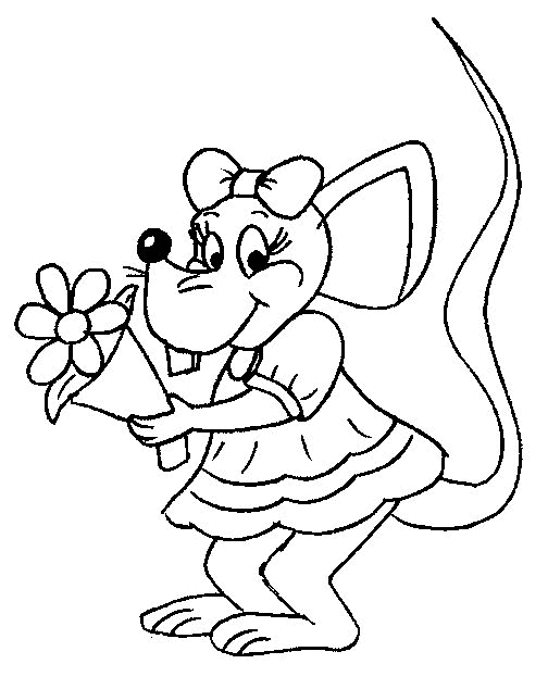 Mouse