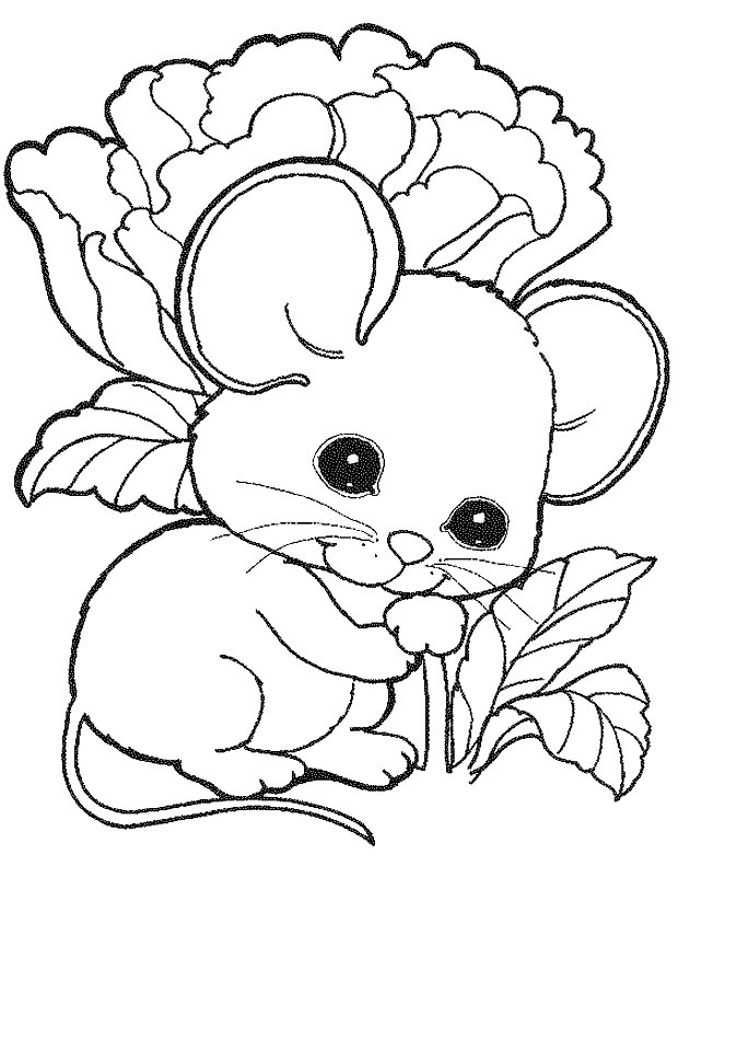 Mouse coloring pages