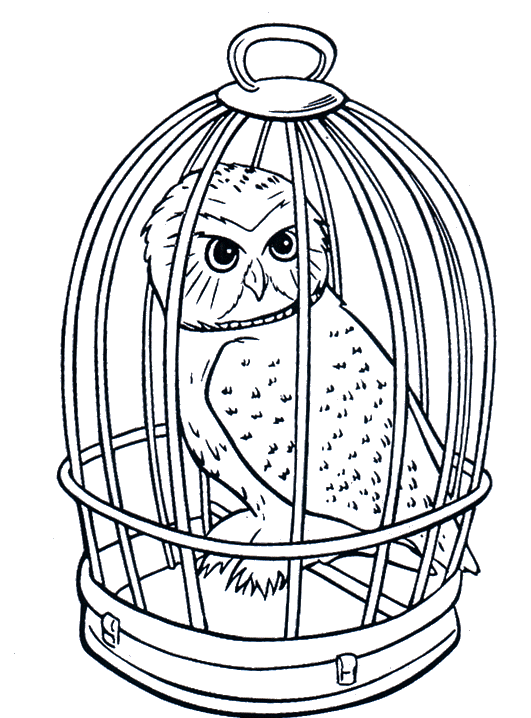 Owl coloring pages