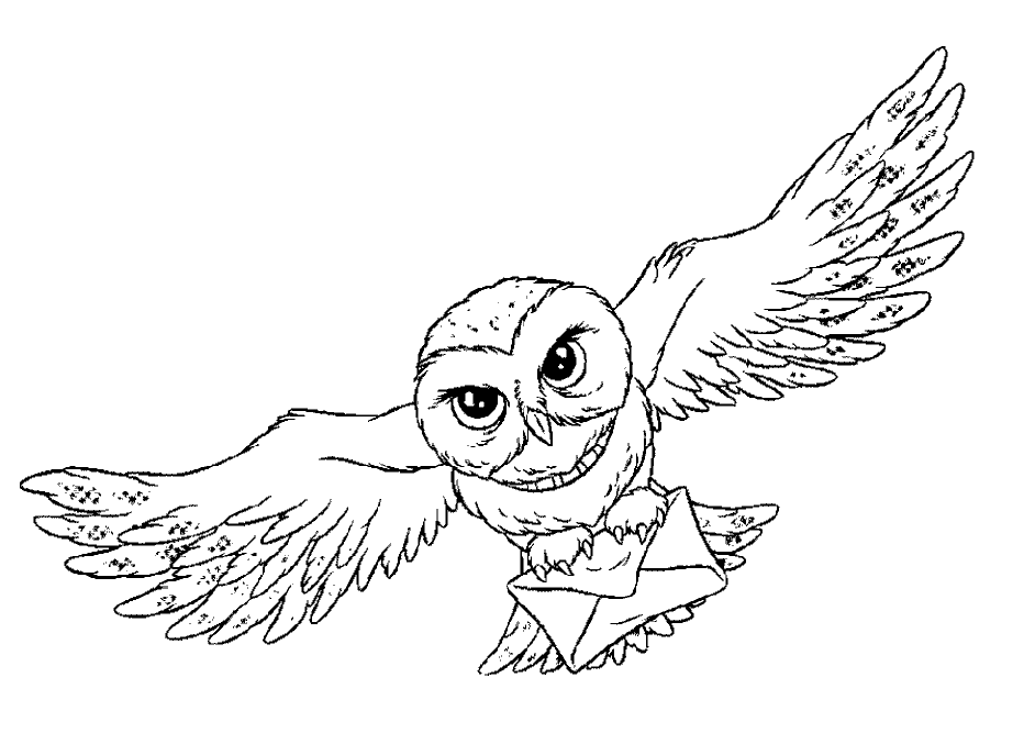 Owl coloring pages