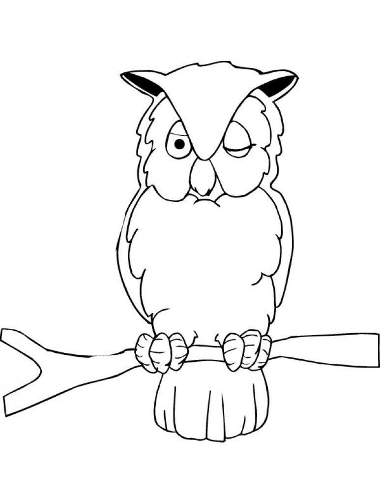 Owl coloring pages