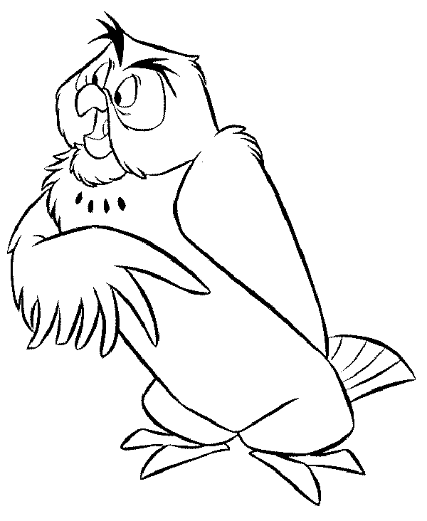 Owl