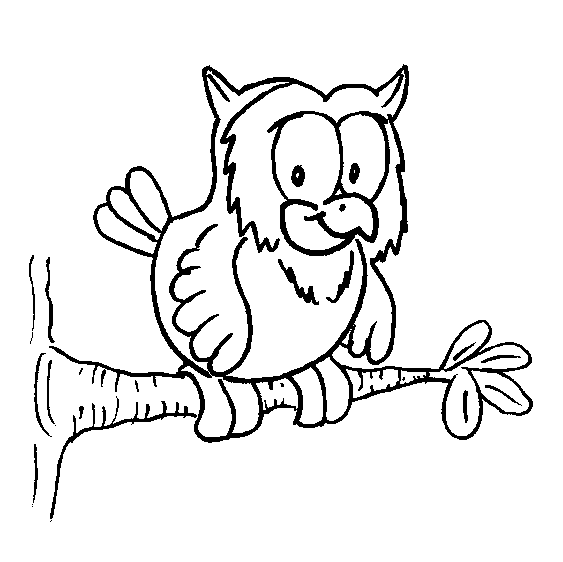 Owl