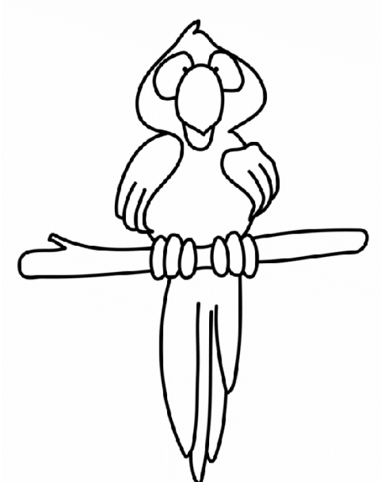 Parrot coloring pages