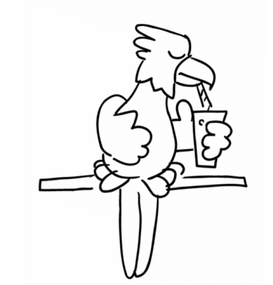 Parrot coloring pages