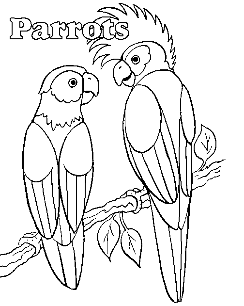 Parrot coloring pages