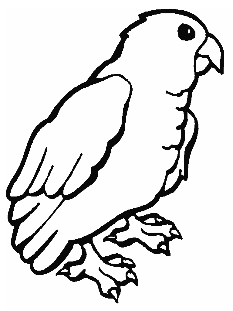 Parrot coloring pages