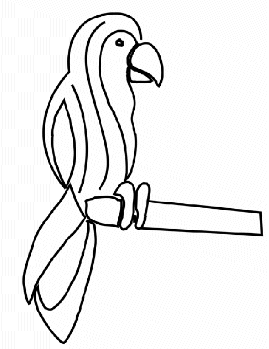 Parrot coloring pages