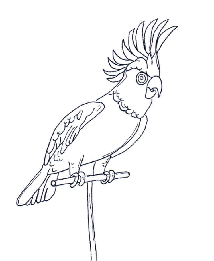 Parrot coloring pages