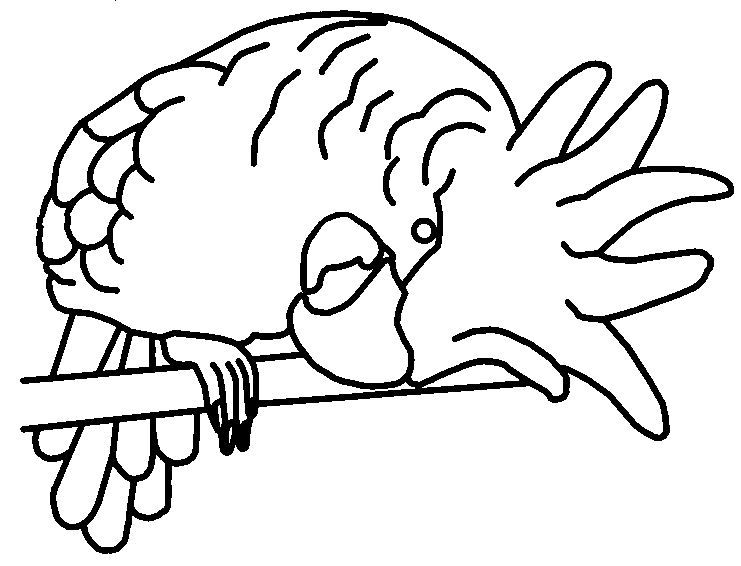 Parrot coloring pages