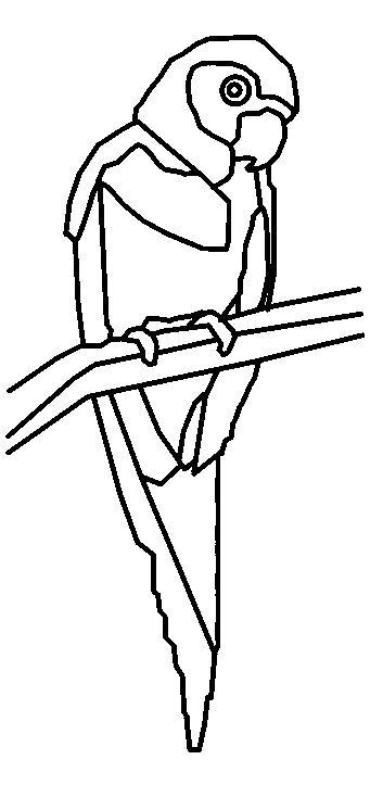 Parrot coloring pages