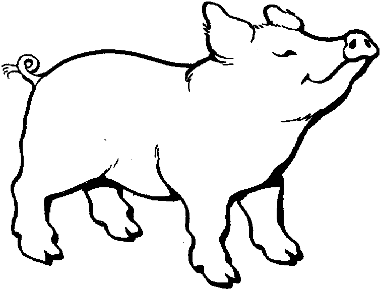 Pig coloring pages