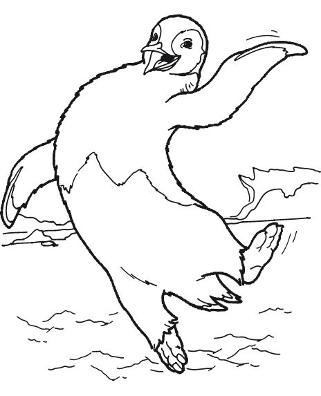 Pinguin coloring pages