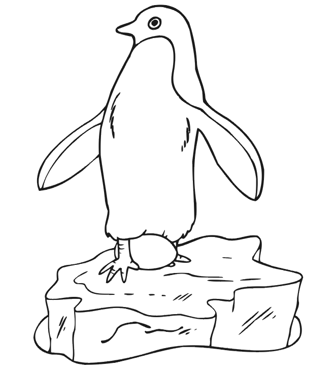 Pinguin coloring pages