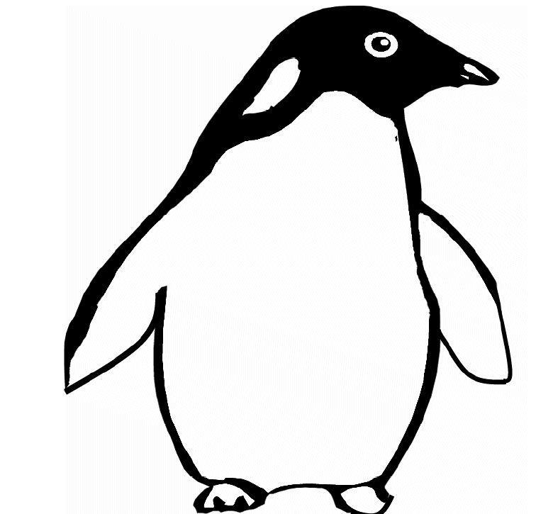 Pinguin