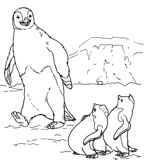 Pinguin coloring pages