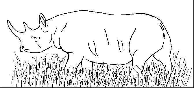 Rhino coloring pages