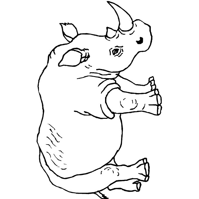 Rhino coloring pages