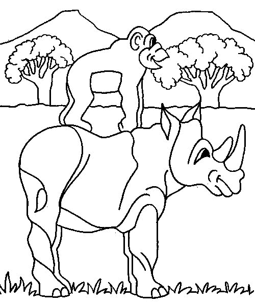 Rhino coloring pages